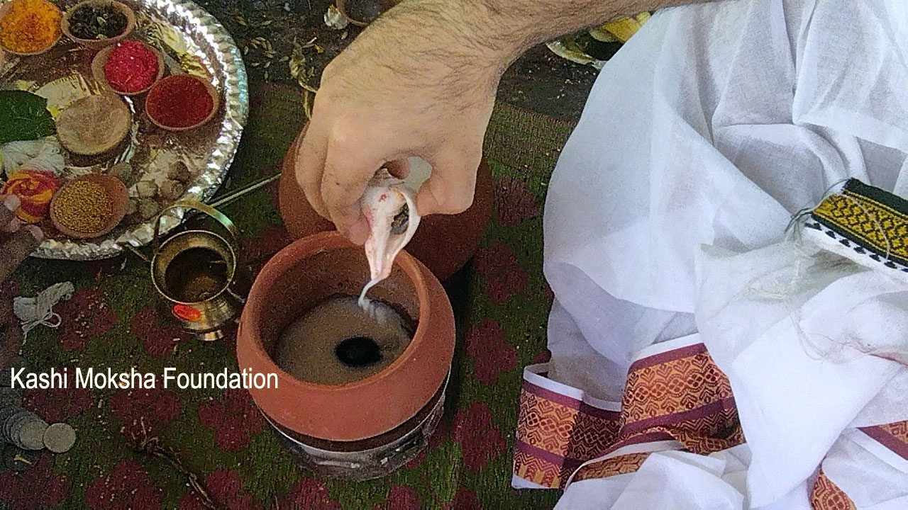Tripindi Image 2